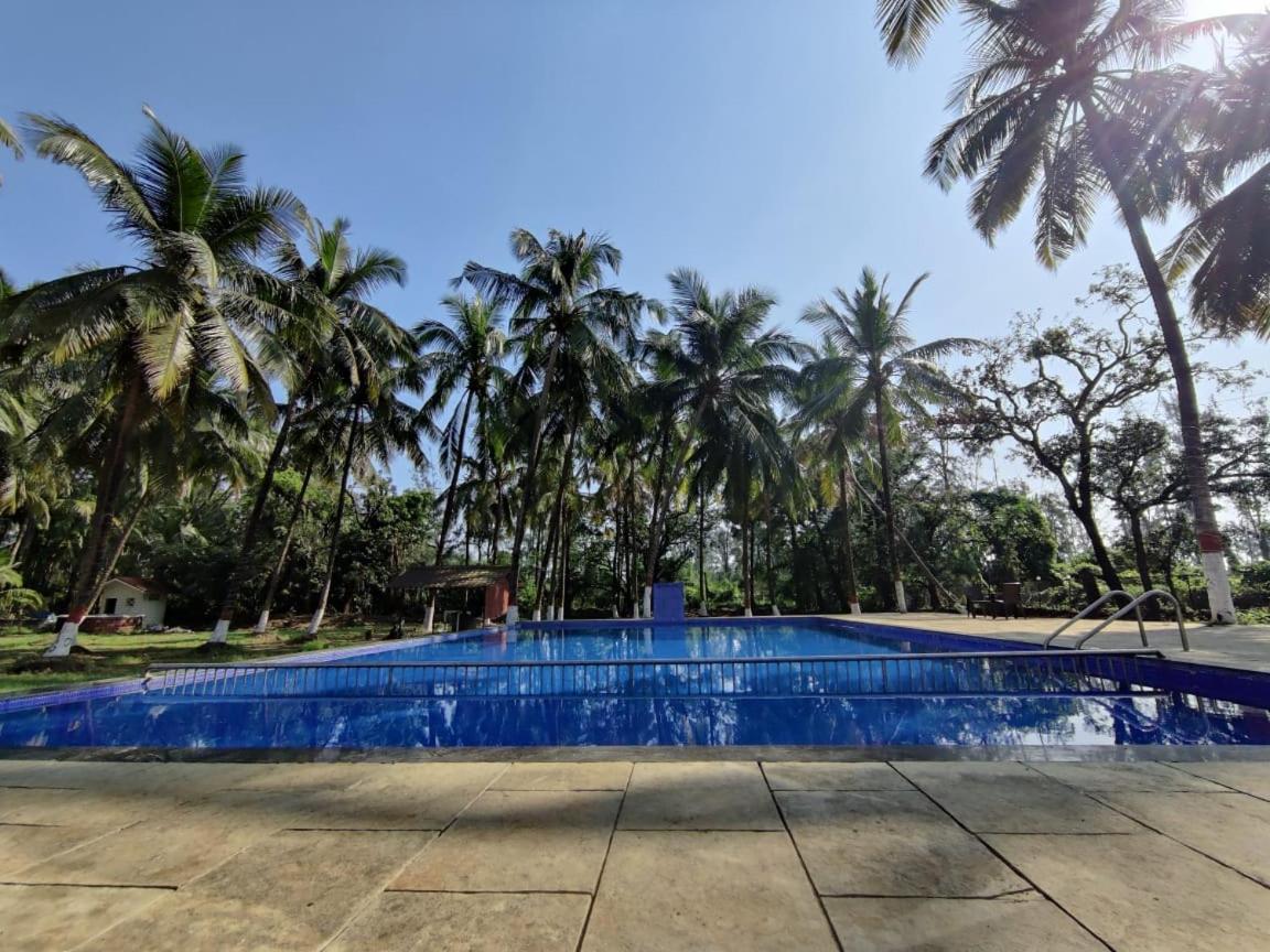 White House Beach Resort, Nagaon Экстерьер фото